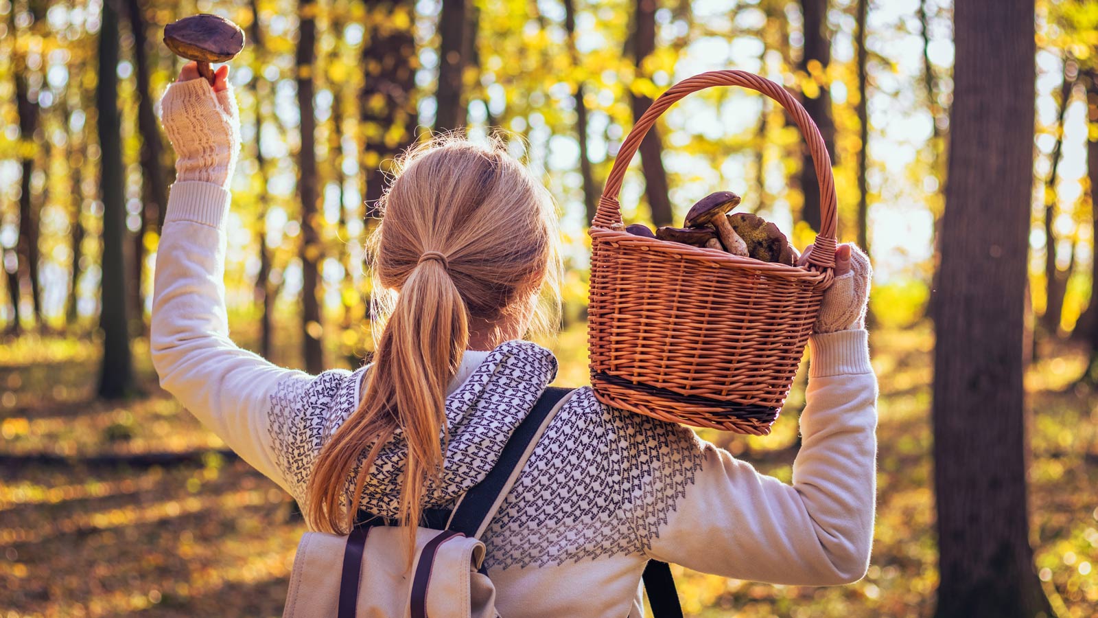 Frau mit gefülltem Pilzkorb im Wald