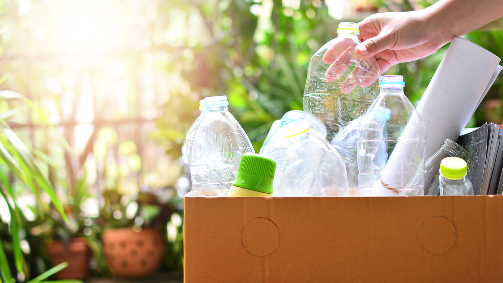 Vollständiger Karton mit leeren Plastikflaschen und Verpackungen.