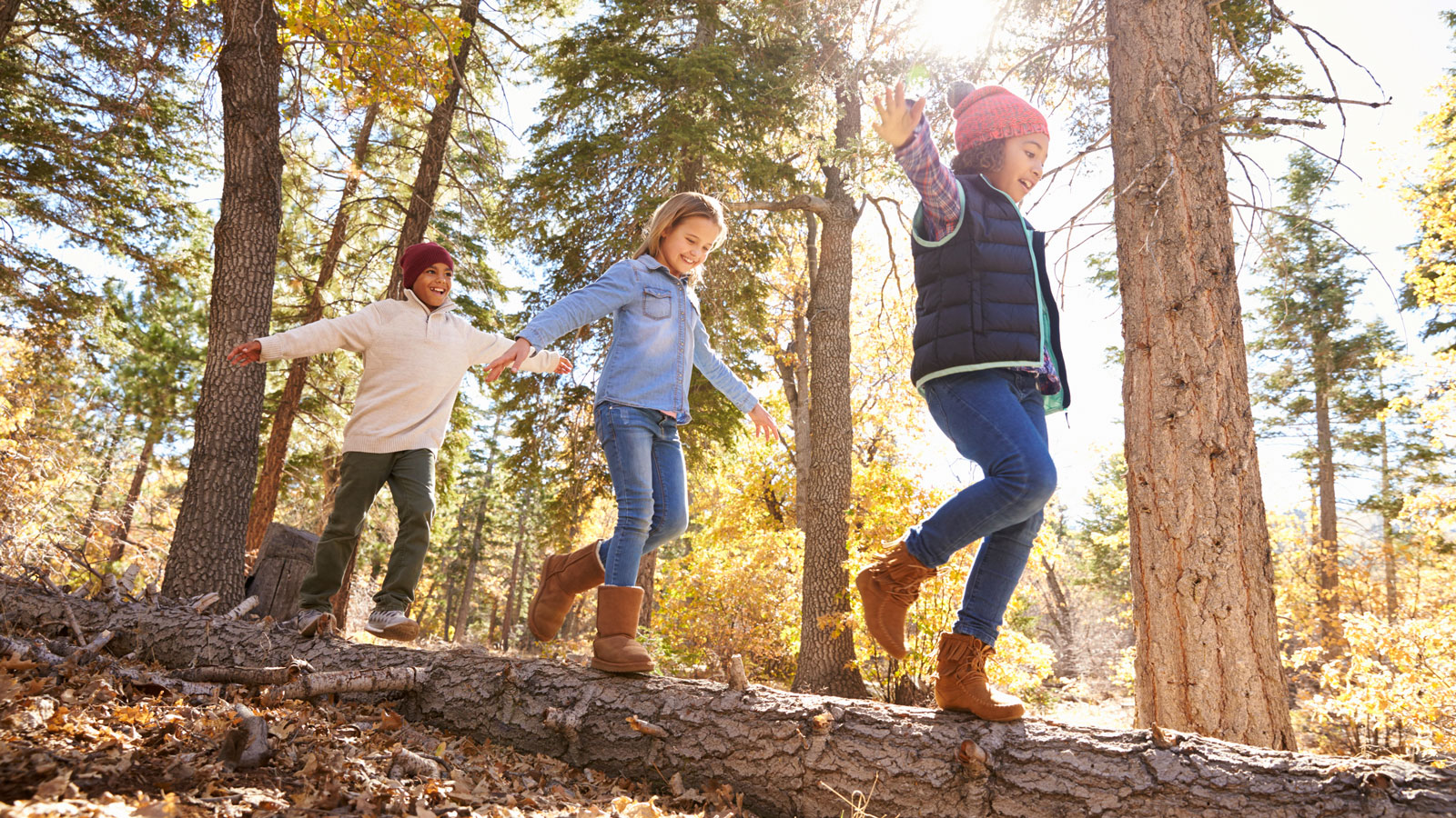 Drei Kinder balancieren auf einem Baumstamm im Wald.