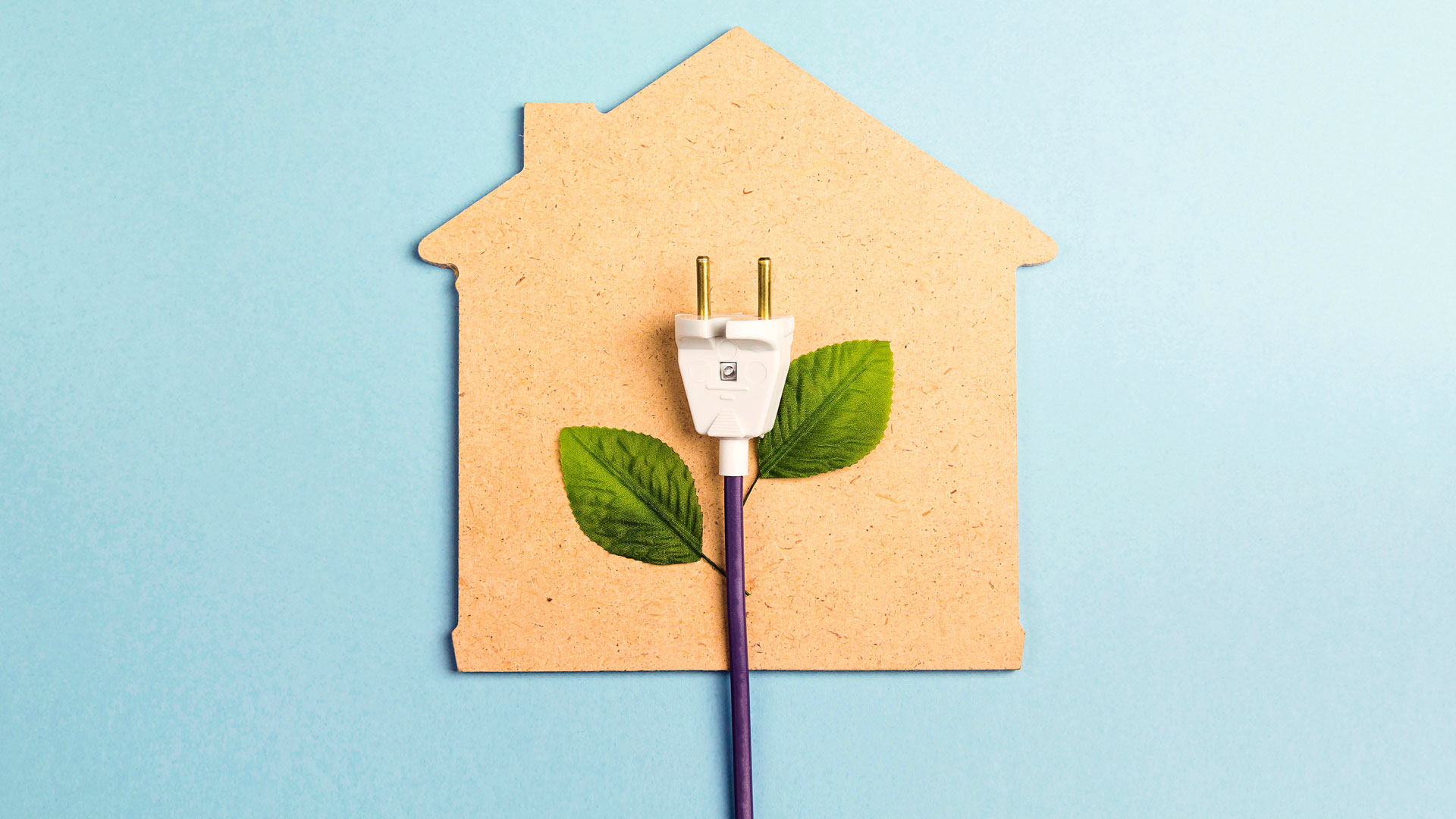 Stecker mit Blatt vor hellbraunem Hintergrund