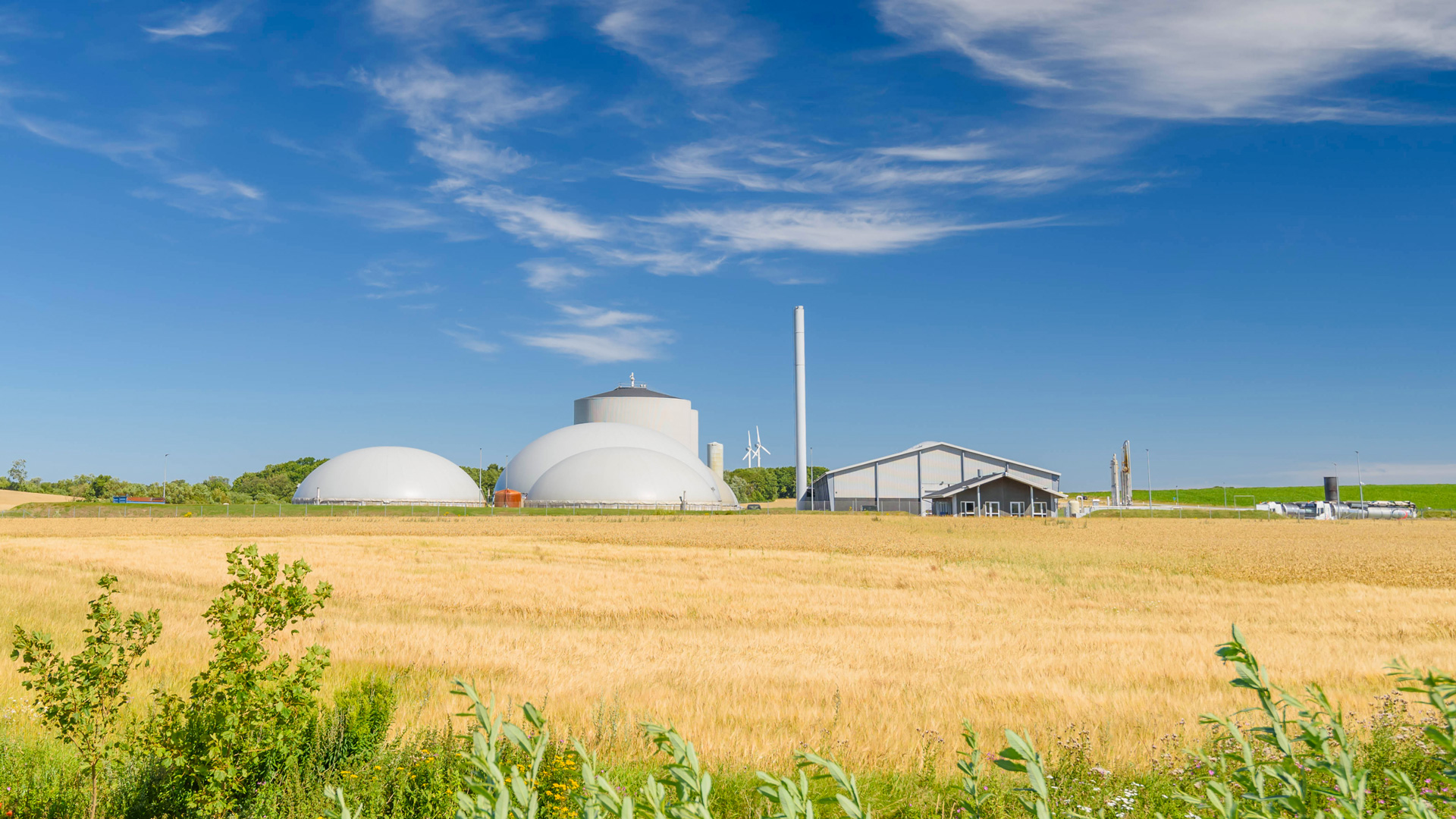 Biogasanlage mit zwei Kuppeln und einem Schornstein in einem gelben Getreidefeld.