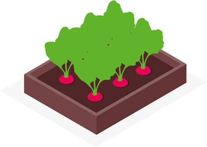 Beet mit rotem Salat