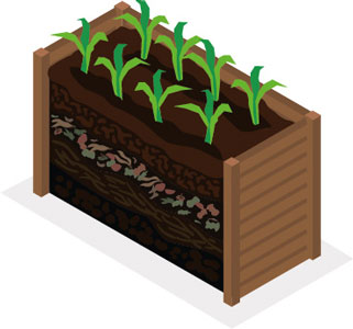 Hochbeet mit jungen Pflanzen